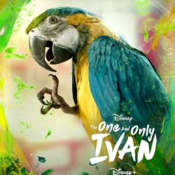 The One and Only Ivan Poster 11: Extra Large Poster Image