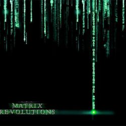 The Matrix, Reloaded, Keanu Reeves