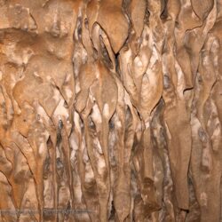 Formations on a Column at Carlsbad Caverns Desktop Wallpapers