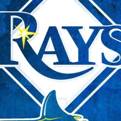 Tampa Bay Rays iPhone 5 Wallpapers