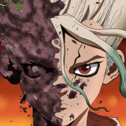 Dr. Stone HD Wallpapers