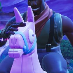 Giddy up, video game, 2018, Fortnite Battle Royale,