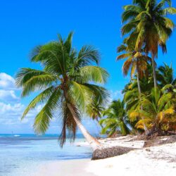 Saona Island Beach, Near La Altagracia Province, Dominican