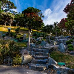 Image New Zealand Wellington Botanical garden Nature