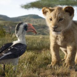 Wallpapers 4k The Lion King Simba 4k 2019 movies wallpapers, 4k