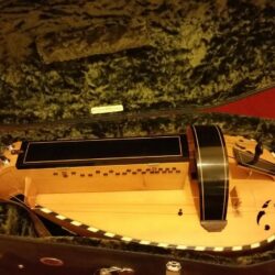 Hurdy Gurdy Weekly • • FOR SALE Chris Eaton Pajot