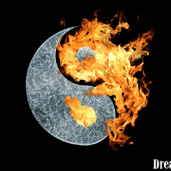 Yin Yang Wallpapers