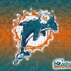 85 best Miami Dolphins Everything image