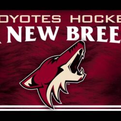 Arizona Coyotes Goal Horn