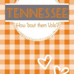 Tennessee volunteers go vols iphone wallpaper. Go big orange