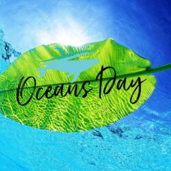 Happy World Oceans Day Leaf Hd Wallpapers