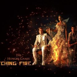 New The Hunger Games Catching Fire Wallpapers 23 25563 Image HD