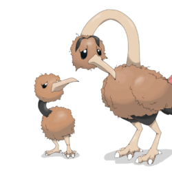 Lonely Doduo and Dodrio by defno