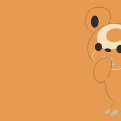 Teddiursa Full HD Wallpapers and Backgrounds Image