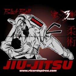 Gracie Jiu Jitsu Wallpapers