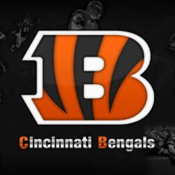 Cincinnati Bengals HD Wallpapers