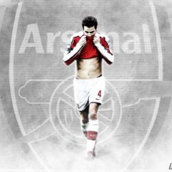 Cesc Fabregas Wallpapers Arsenal