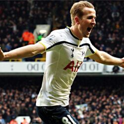 Harry Kane Wallpapers HD Pictures
