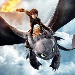 100% HDQ How To Train Your Dragon Wallpapers