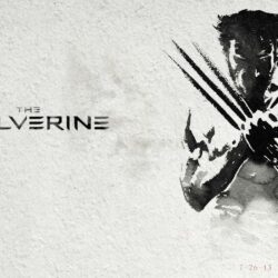 Hd Wolverine Wallpapers