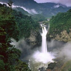 Amazon Rainforest Photo Hd Wallpapers Wallpapers