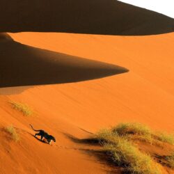 Sand Dunes Wallpapers 30730 ~ HDWallSource