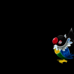 The Image of Pokemon Black Backgrounds Chatot HD
