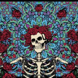 skull, rose, Dia de muertos, skeleton