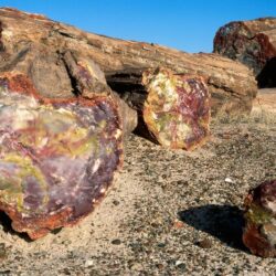 Petrified Forest National Park 846320