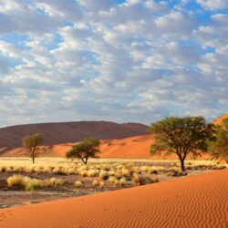 Sossusvlei Namib Naukluft National Park Namibia