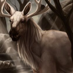 Realistic Stantler by Leashe