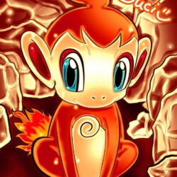 Chimchar by Nohongo