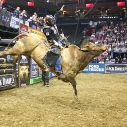 px Bull Riding Wallpapers