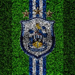 Download wallpapers Huddersfield Town AFC, 4k, football lawn, emblem