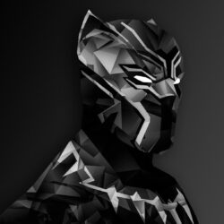 Download Black Panther Digital Art HD Wallpapers In