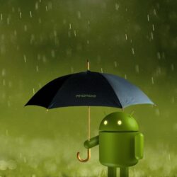 Rainy Android Wallpapers Wallpapers