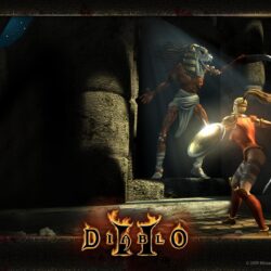Blizzard Entertainment:Diablo 2