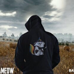 Pubg Wallpapers Hd Image Gallery