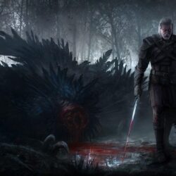 587 The Witcher 3: Wild Hunt HD Wallpapers