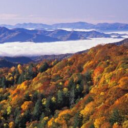 Great Smoky Mountains National Park 242425
