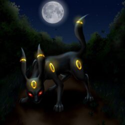 Umbreon image Umbreon wallpapers HD wallpapers and backgrounds