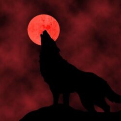 Wallpapers For > Red Moon Wolf Wallpapers