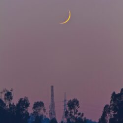 250+ Beautiful Crescent Moon Photos
