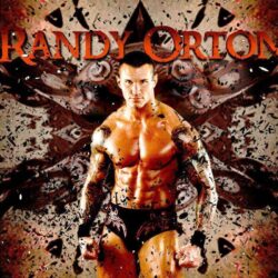 Randy Orton Hd Wallpapers 24680