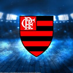 Flamengo Basketball 2015 Champions Wallpapers