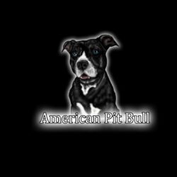 Pit bull Wallpapers