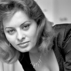 Sophia Loren wallpapers