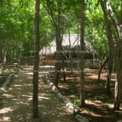 ek balam yucatan peninsula forest nature