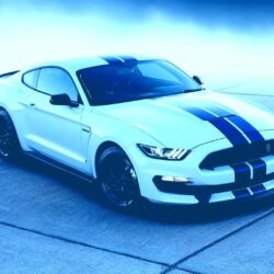 2018 Ford Mustang Ford Shelby Mustang Gt350 Wallpapers