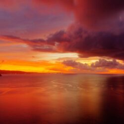 Sunset: Vanuatu Fly Sunset Ocean Palm Sky Light Plane Wallpapers